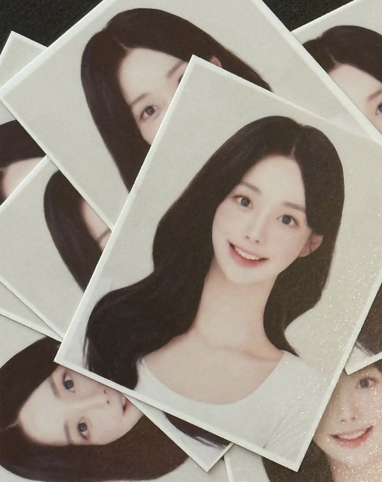 인화된 증명사진